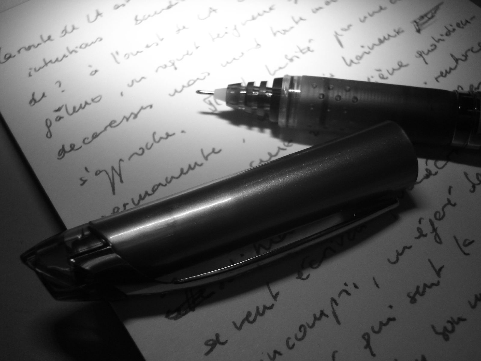 La puissance des MOTS pour soigner vos MAUX [Article Invité sur le blog Leader & Blogueur]